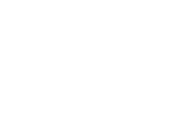 Tatu Bola